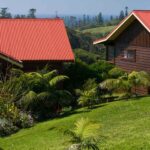 Jacaranda Park Holiday Cottages 1