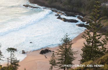 Norfolk Island Banner Image