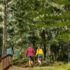 Couple walking on a forest trail in Norfolk