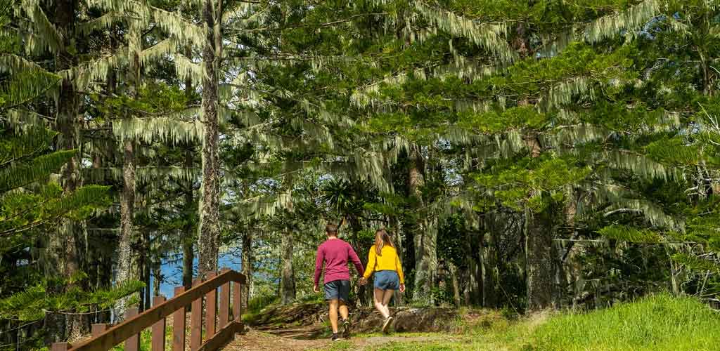 Couple walking on a forest trail in Norfolk