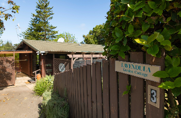 Norfolk Island Holiday Homes Holiday Packages