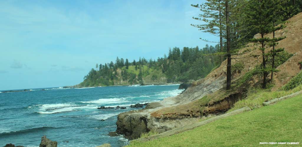 waves crashing against grass-covered island - Norfolk scenic beauty