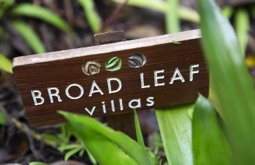 Broad Leaf Villas Holiday Packages