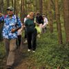 Norfolk Island Hikes - Pine Tree Bushwalks
