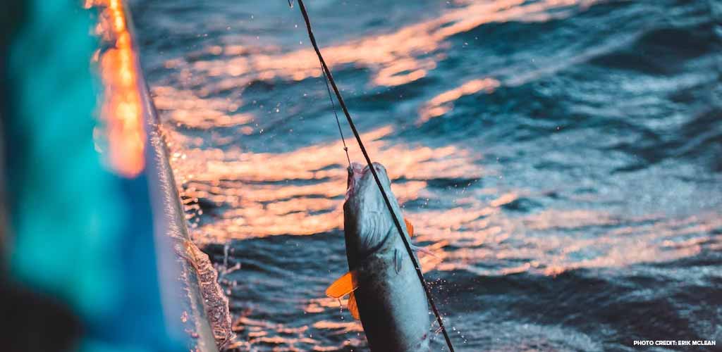 Fishing around Norfolk Island