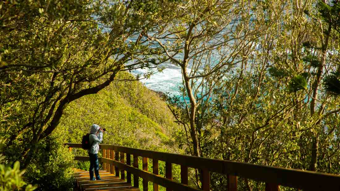 A Walkers and Gardeners’ Guide to Norfolk Island’s Best Trails norfolk island hiking walking trails